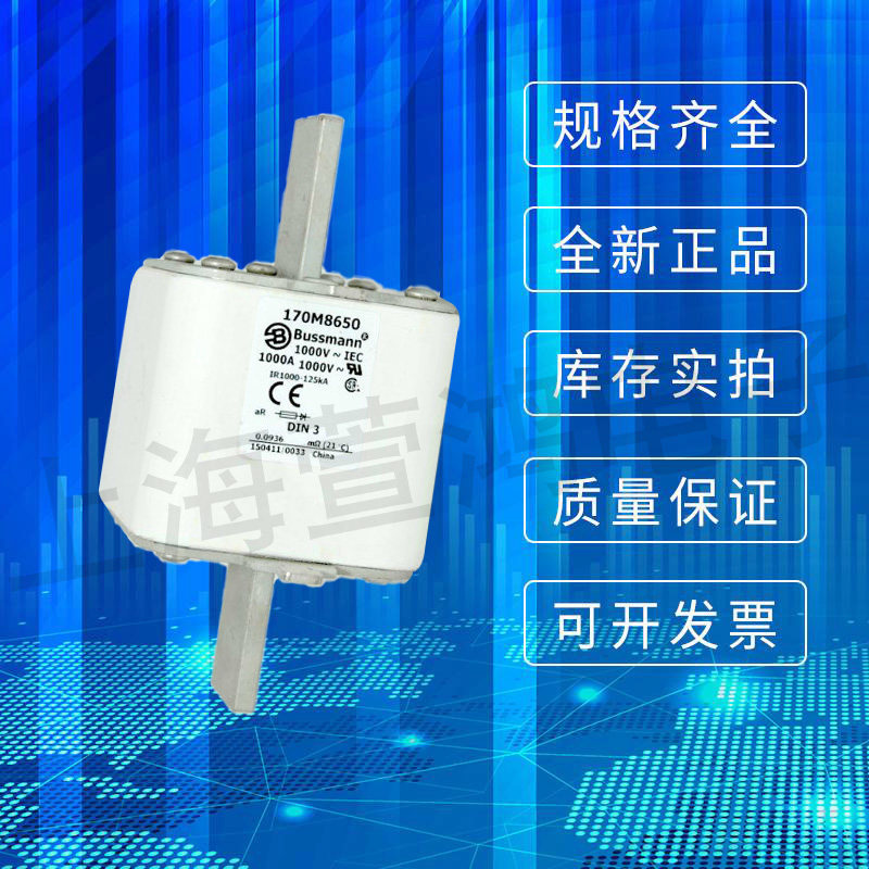 170M8625 170M8626 170M8627 USA Bussmann fuse fuse spot