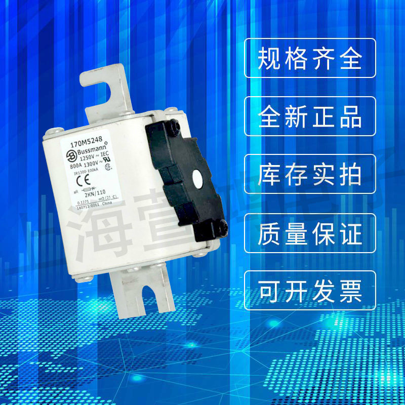 170M5266 170M5266 170M5267 170M5268 170M5268 Pasman BUSSMANN fuse spot for fuse