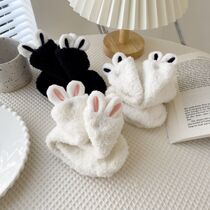 Coral fleece socks female jk Japanese Lolita floor socks mid-tube sleep socks autumn and winter plus velvet thick rabbit ears