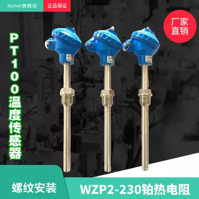 WZP2-230 WZP2-231 Dual PT100 platinum RTD Dual monitor temperature sensor M27 thread