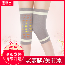 Antarctic people summer self-heating knee cover warm old cold leg joint cold air-conditioning room thin section incognito men and women