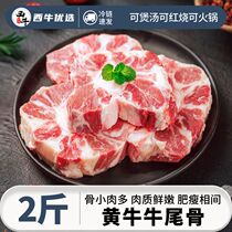 Xiniu Selection·Ox tail bone fat and lean beef ribs beef scorpion soup braised hot pot household ingredients wholesale