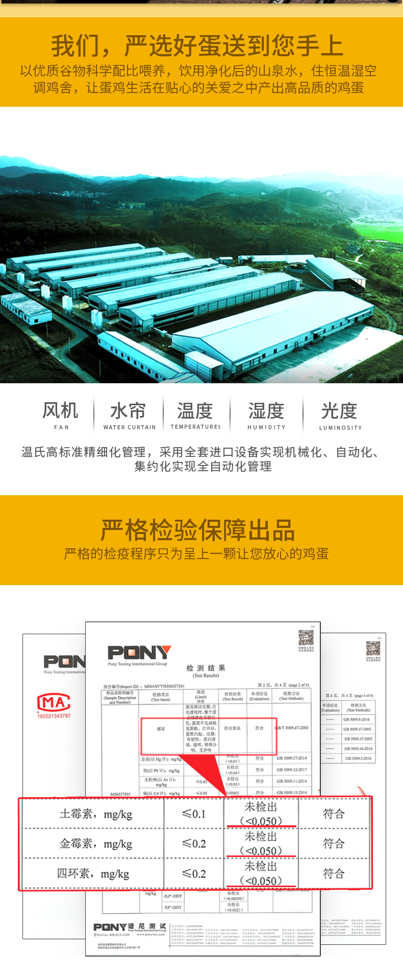温氏 供港优级土鸡蛋 30枚/1200g 图9