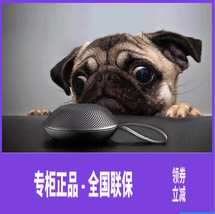 Vifa Reykjavik 8710 Wireless speaker Reykjavik mini - portable mini - sound