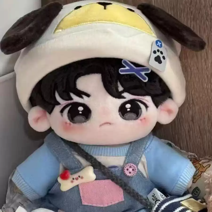 时代少年团刘耀文棉花娃娃20cm周边帅气公仔可爱玩偶礼物送情侣