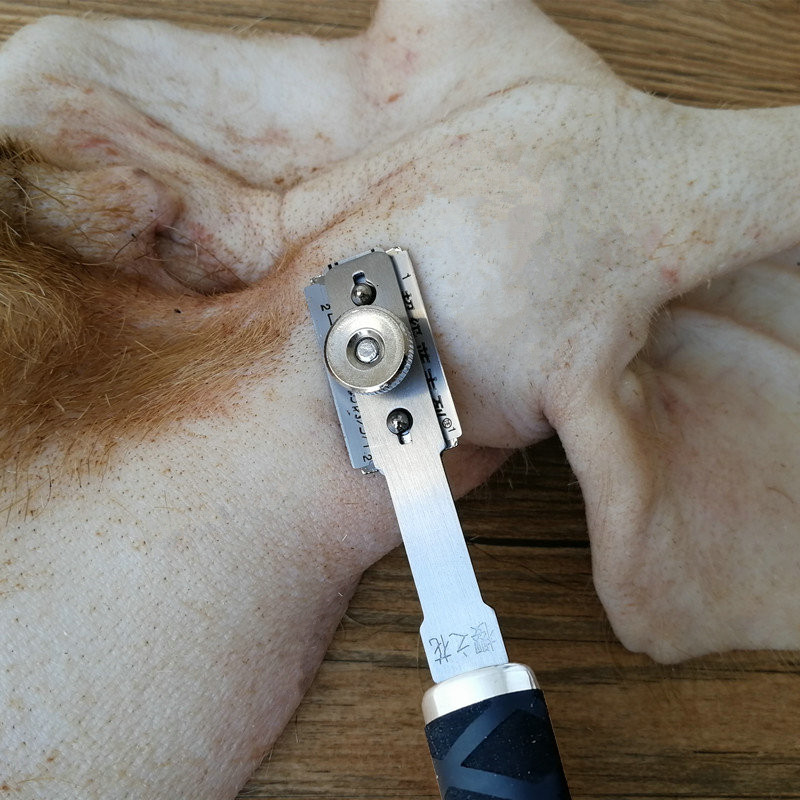 Go to pig hair theorizer Scraping Pig Hair Special Knife Shave Hair Knife Pig Hair Shave Pig Hooch Hair Shave Hair Special Knife