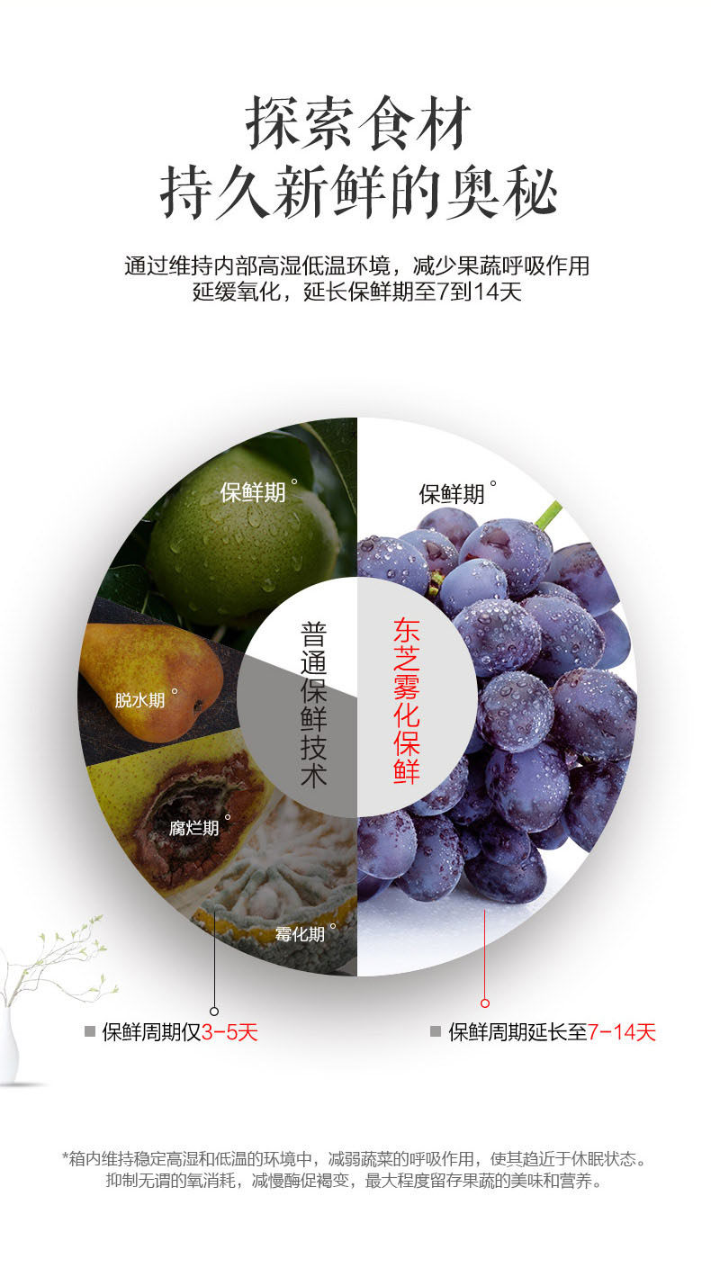 东芝 雾化恒鲜 一级变频 双开门冰箱 548L 图9