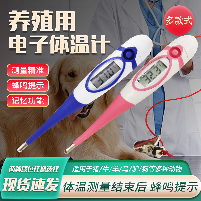 兽用体温计宠物电子温度计猪牛羊狗猫咪体温测量仪养殖肛门体温表