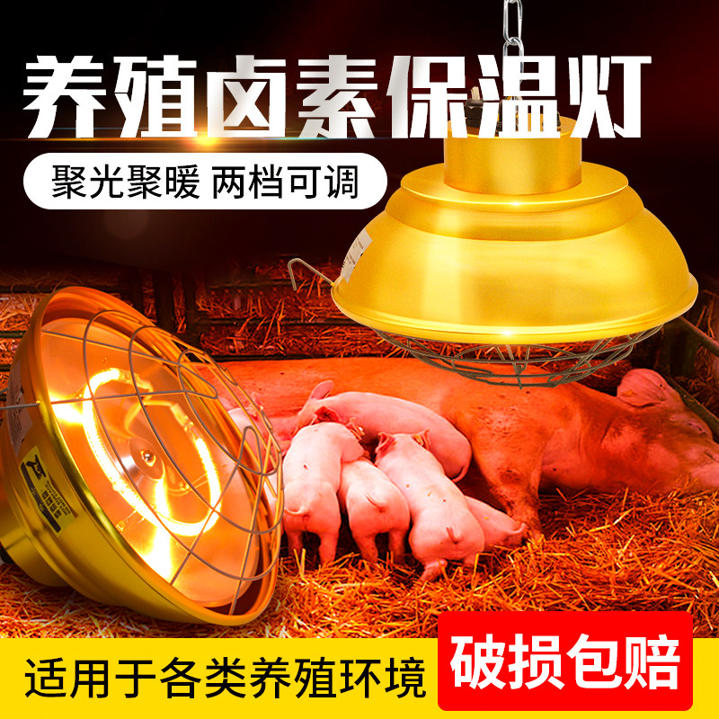 养殖场取暖灯兽用卤素保温灯猪舍产床大功率加热灯育雏取暖发热灯