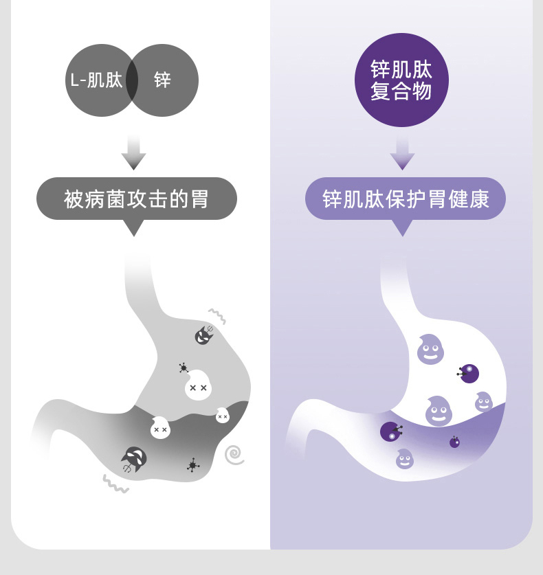 科立纯Clinicians养胃胶囊50粒