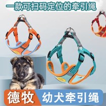 De Shi Black Dog Special Traction Rope Bracelet with Puppy Vest-style Night Walking Dog Rope Adjustable