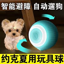 Yorkshia special automatic walking dog toy ball consumes physical strength to toy grinding teeth to bite puppy supplies