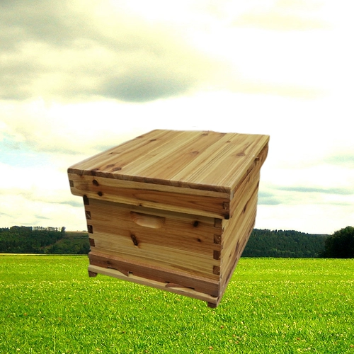 Bee Beehin Полный набор пчеловодных инструментов Специальные пчеловодные коробки бесплатная доставка восковой пих