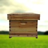 Bee Beehin Полный набор пчеловодных инструментов Специальные пчеловодные коробки бесплатная доставка восковой пих