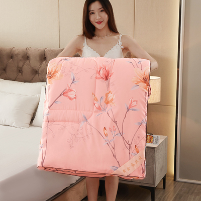 桐乡蚕丝被100桑蚕丝纯棉立体保暖被