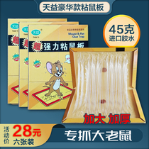 Super strong sticky rat board big rat sticker drive imported glue household a nest end to catch and kill the mouse artifact 6 pieces