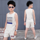 Boys bộ vest 2019 mới mùa hè váy vừa boys boys quần short cotton trẻ em dành cho trẻ em của hai mảnh mỏng.