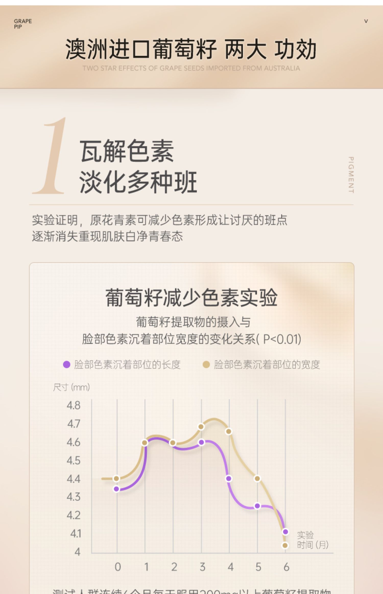 澳洲N29葡萄籽粉精华pcc1原花青素维生素c