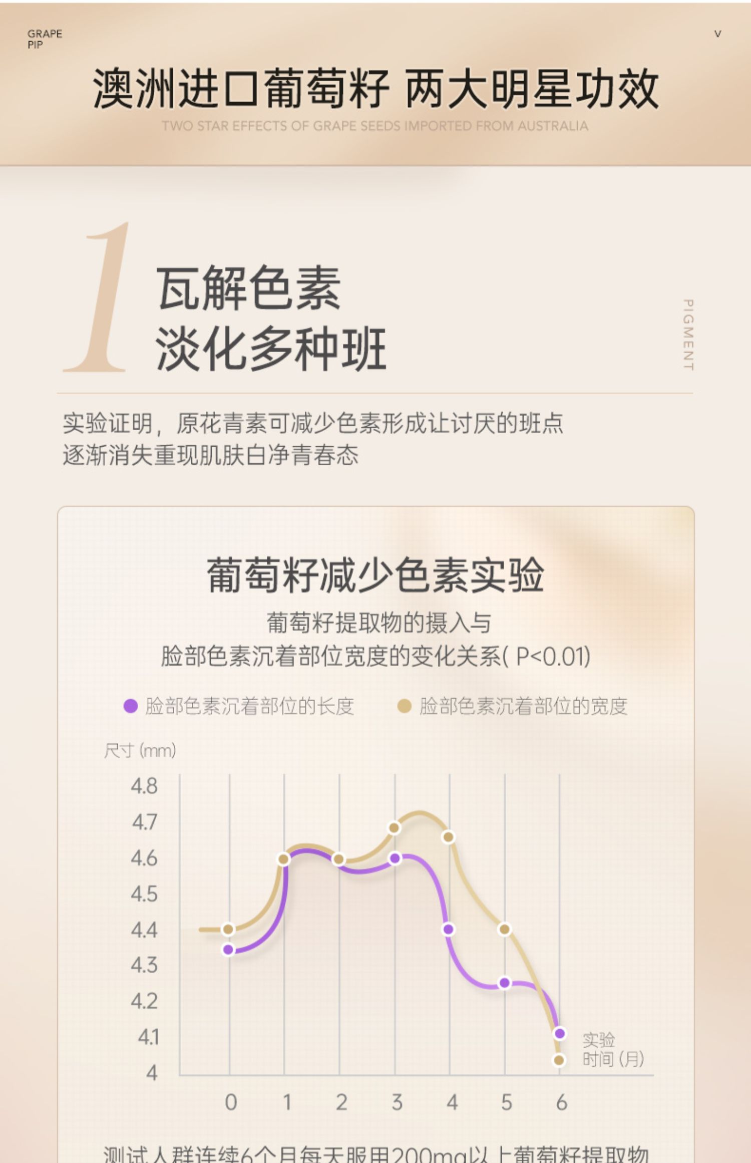 澳洲N29维生素c内服葡萄籽原花青素胶囊