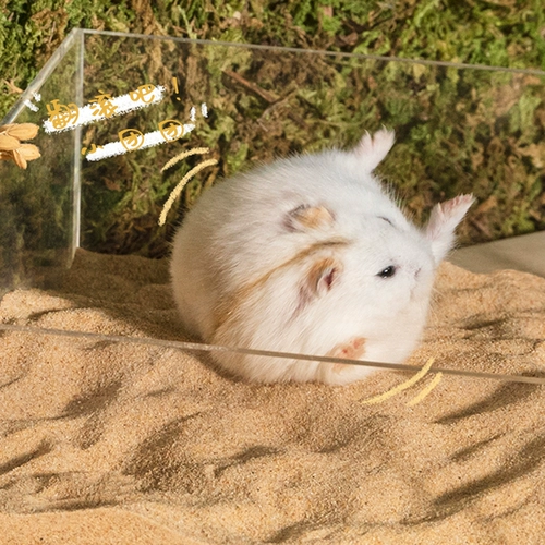 Хомять ванна для мытья песчаных принадлежностей для ванной комнаты песок Золотой шелковый медведь Специальная пустынная песчаная соль для ванны соль, ванна, дезодоризация очистка