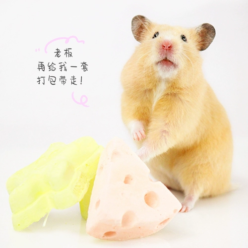 Шлифовальная палочка с небольшим хомяком поставляется с золотыми шелковыми кроличьями, кухня для сосны из морских свинок, натуральная очищающая кальциевая добавка закуски