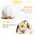 Teddy dog ​​đồ chơi búp bê sang trọng búp bê sang trọng gối dễ thương chó lớn giữ cô gái ngủ - Đồ chơi mềm