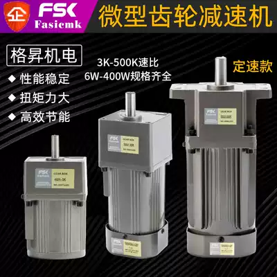 6-400W 220V 380V AC single-phase three-phase fixed-speed electromagnetic damping brake micro gear motor