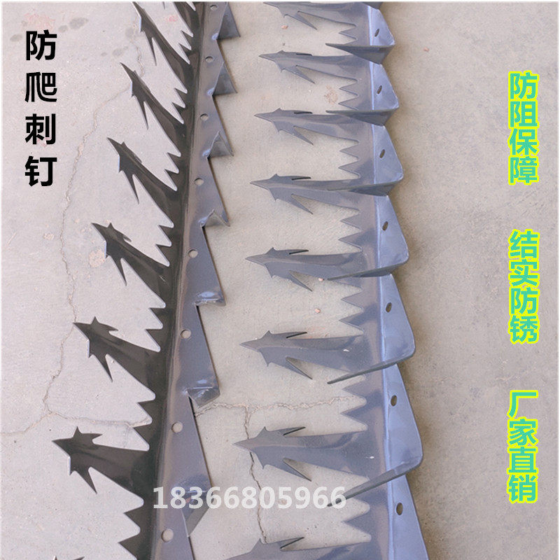 Stainless steel hot dip galvanized fence size anti-climbing thorn nail fence fence blocking thorn anti-theft protection does not rust nails