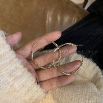 Metal ring earrings female European and American retro exaggerated big earrings 2021 New Tide simple temperament Joker ear ornaments