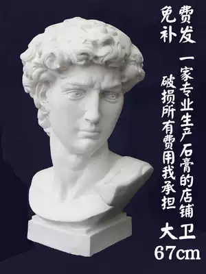 David plaster avatar art teaching aids sketch large figure model portrait still life sculpture decoration decoration statue