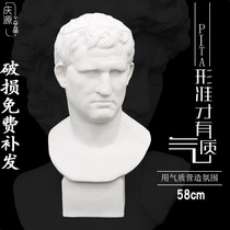 Agriba plaster like a pendulum hanging like a fine art teaching sketch sketch speed writing a pictorial art stillborn portrait