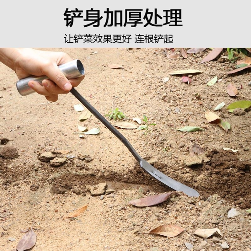 Garlic to root garlic shovel pointy garden garden dig spade outdoor digging tool