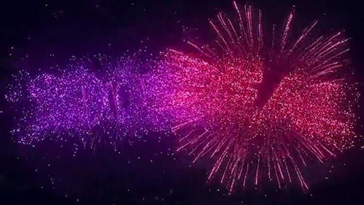 绽放烟花logo特效新年烟火庆祝节日升空爆炸动画AE模板视频素材插图3