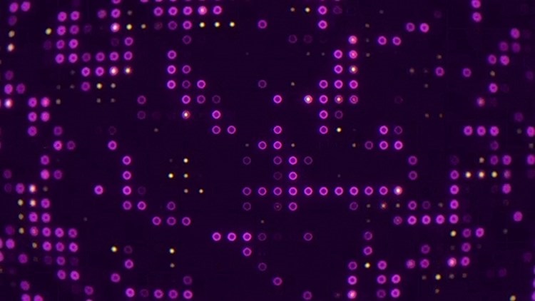 30款绚丽多姿的数字化晶格背景特效图形制作AE模板AEP源文件插图13