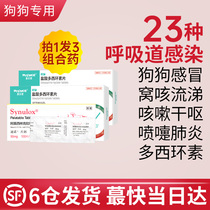 Nest Uncoughing Doxycycline Dog Sensation Medicine Cough Runny Nose Dry Vomit Dog Cough Pneumonia Pet Respiratory Tract