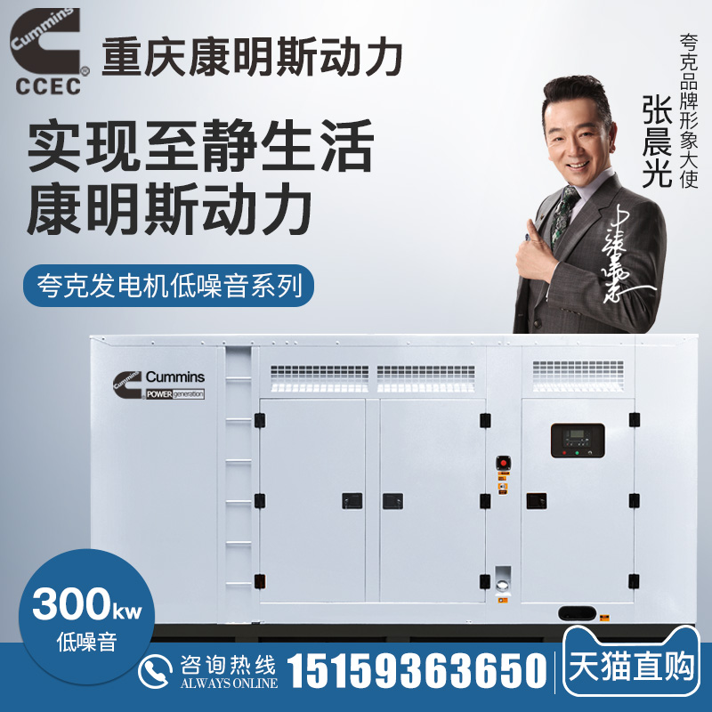 Quark Chongqing Cummins NTA855-G2A diesel generator set 300kw mute 300 kW three-phase 380v