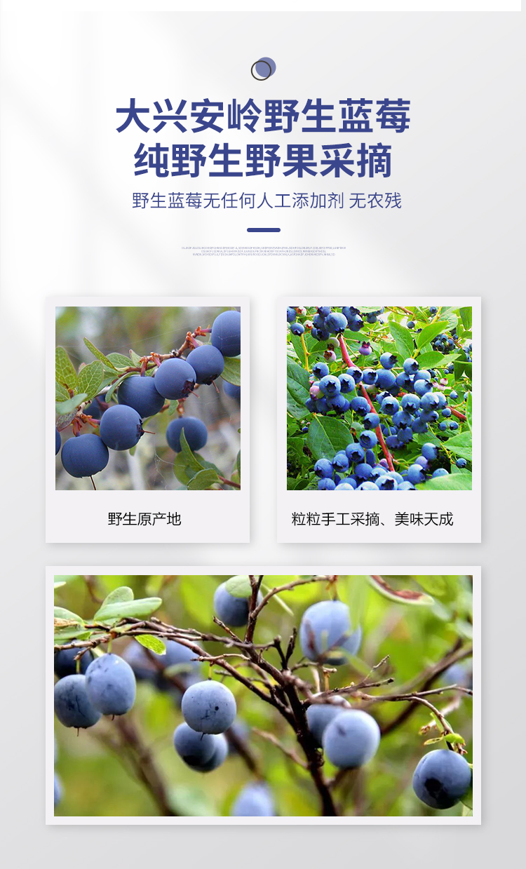 野生蓝莓生榨，保护视力：30mlx10袋 五行健 蓝莓原浆营养饮料 24.9元包邮 值值值-买手聚集的地方