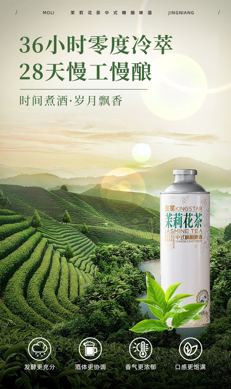 安享好物 安享B级啤酒-金星毛尖啤酒 国标