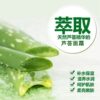 Aloe Vera Hydrating Beauty Cream Moisturizing, Nourishing, Repairing, Firming, Anti-Wrinkle, Official Genuine Lotion Cream for Women