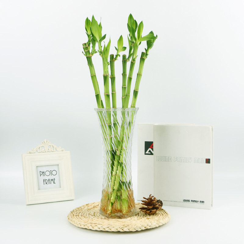 富贵竹水培植物转运开运竹花卉绿植盆栽绿萝室内花客厅水养节节高 实用礼物推荐 始料不及礼物网