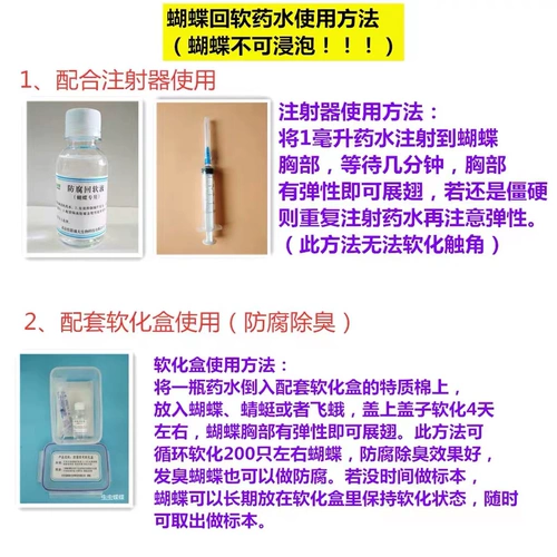 Образец бабочки, посвященный раствору с мягким консервантом, антикоррозион и смягчен обратно в программное обеспечение; дезодорирование также мягкие крылья;