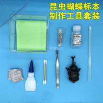 Insect Specimen Making Material Pack Tool Soft Film Box Training Teaching Activities Handmade Suit Butterfly Spread