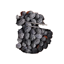 Walnut charcoal barbecue carbon fruit stove cooking tea carbon olive charcoal smokeless carbon household black olive carbon smokeless barbecue special