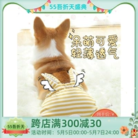 Мальчик -собака физиологические штаны женщина Корки Тедди щенка