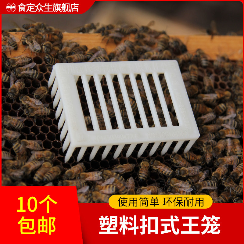 Queen bee kingcage plastic kingpin caged button Wang cover Cage Buttoned-type kingcage Cage Rearing Bee Special Storage King Box