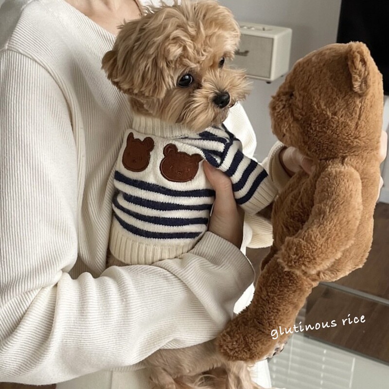Dog Clothes Autumn and Winter Style Bear Striped Sweater Warm and Cute Pet Cat Small Dog Bichon Teddy Pomeranian Dog Clothes Autumn and Winter Style Bear Striped Sweater Warm and Cute Pet Cat Small Dog Bichon Teddy Pomeranian