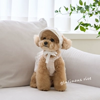 Собака французская леди кружева соломенная шляпа домашние животные элегантные декоративные летние солнцезащитные крем