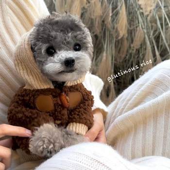 Pet autumn and winter thickened warm dog clothes