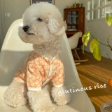 Домашние животные осень и зимняя одежда для щенка для собак