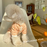 Домашние животные осень и зимняя одежда для щенка для собак